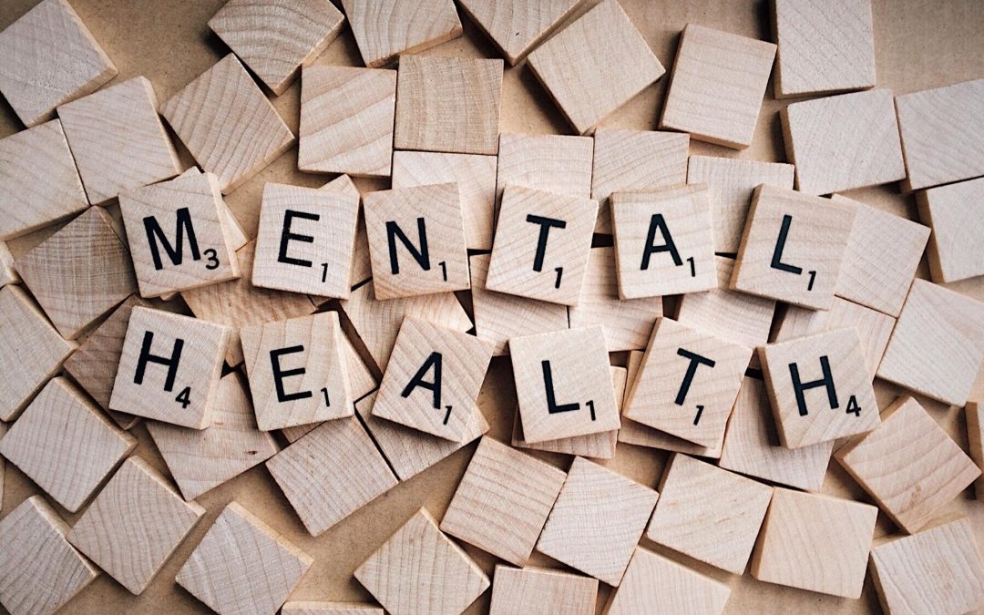 Mental Health Joint Response Unit helping those in mental health crisis across Plymouth