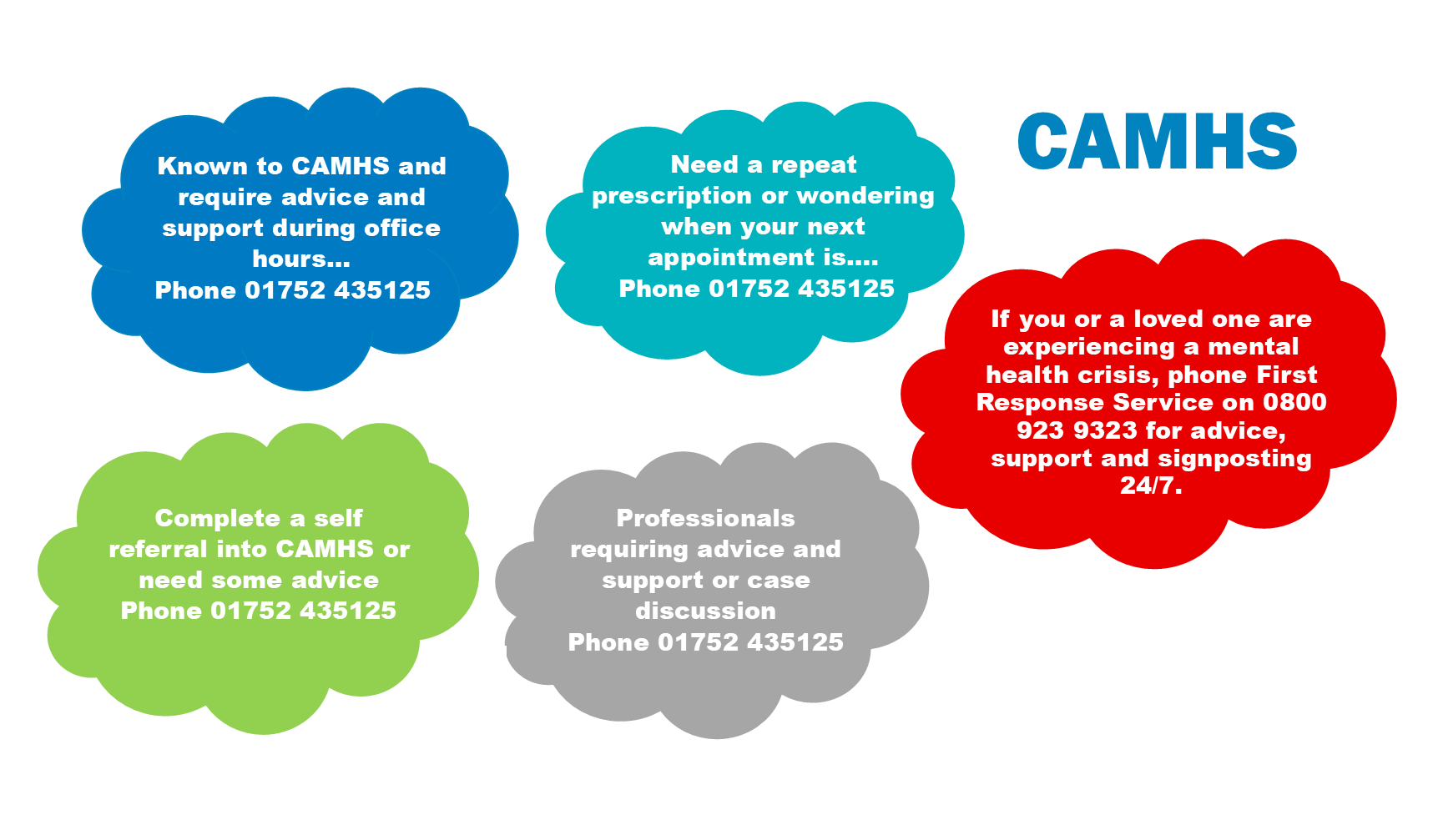 CAMHS bubbles