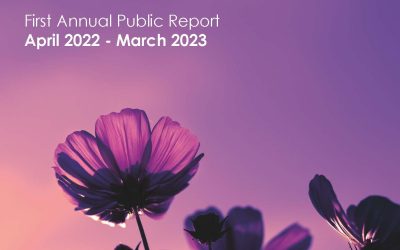 The Child Death Overview Panel publishes first annual public report