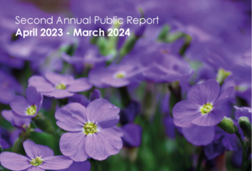The Child Death Overview Panel publishes second annual public report