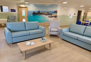 Lounge with two light blue sofas and a coffee table with mural of a cove in background