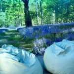 Bluebell mural with two beanbags