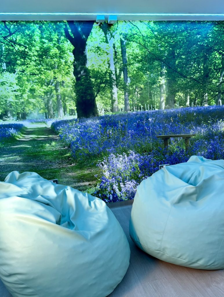 Bluebell mural with two beanbags
